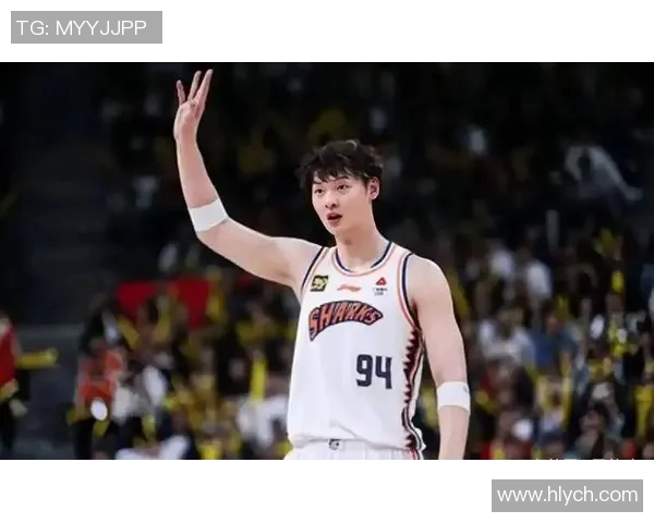 王哲林的篮球之路：从青涩少年到CBA巨星的奋斗历程与荣耀时刻