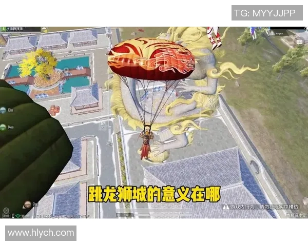 专访李丽揭秘和平精英成功背后的策略与创新之路