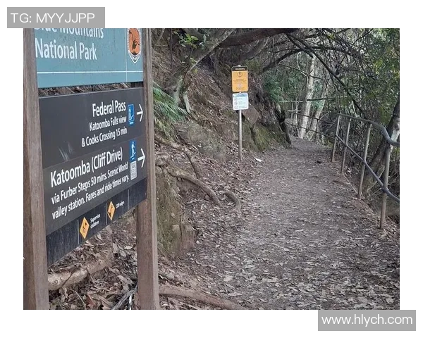 成都极限运动队运营分析与反思探讨极限运动发展的机遇与挑战MBA