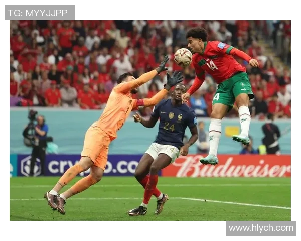 法国与阿根廷足球对决粤语解说精彩回顾与分析 法国与阿根廷足球对决粤语解说精彩回顾与分析