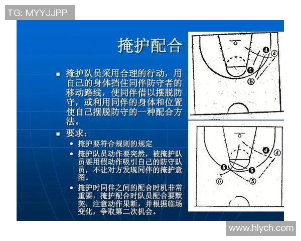 从零基础到高手：全面掌握排球配合技巧与战术解析