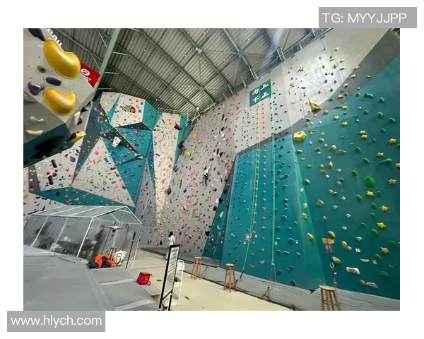 上海攀岩队如何通过比赛经验变革提升竞技水平与团队协作能力